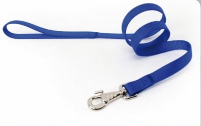 רצועה לכלב CAMON צבע כחול 12 מ"מ אורך מטר וחצי