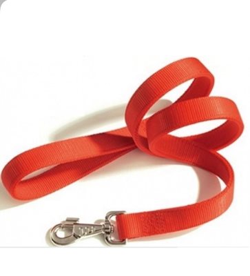 רצועה לכלב CAMON צבע כתום 12 מ"מ אורך מטר וחצי