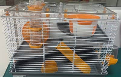 כלוב מפואר למכרסמים מגיע עם כל האביזרים הנלווים