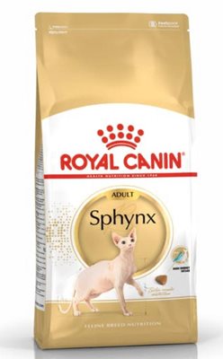 רויאל קנין ספינקס בוגר 2 קילו