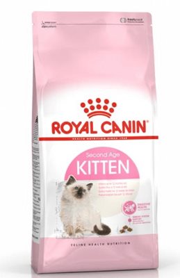 רויאל קנין קיטן 4 קילו