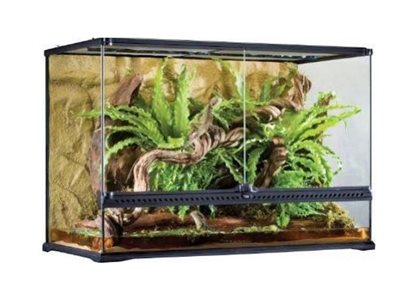 טרריום MEDIUM 60*45*30