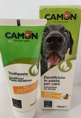 משחת שיניים לכלבים