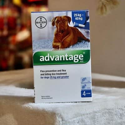 חבילת אמפולות לכלב 4 יחידות במארז מ25-40 קילו