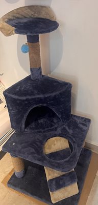 מגרדת גדולה לחתולים